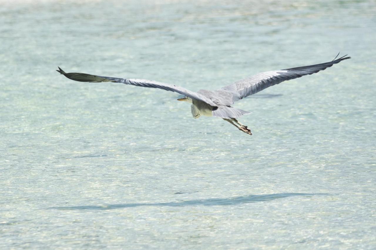 Coral Heaven Sunset View INN Guraidhoo  Exterior foto